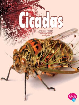 cover image of Cicadas